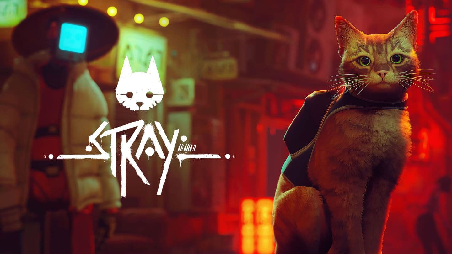 Stray